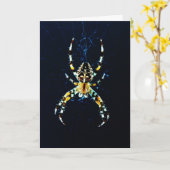 Carte Gcna Garden Spider (Fleur jaune)