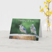 Carte Geai bleu bébé (Fleur jaune)