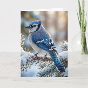 Carte Geai bleu de Noël sur un pin enneigé
