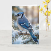 Carte Geai bleu de Noël sur un pin enneigé (Fleur jaune)