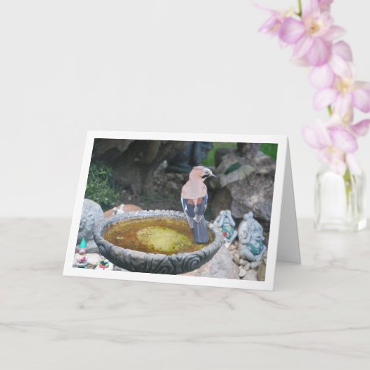 Carte Geai d'Eurasie sur bain d'oiseaux (Orchidée)