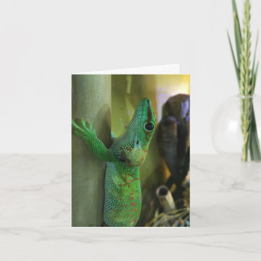 Carte gecko notecard #2 (encouragement) (Devant)