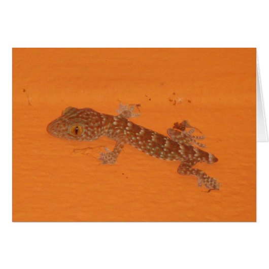 Carte Gecko Tokay Baby (Devant horizontal)