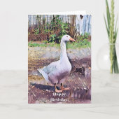 CARTE GEESE (Devant)
