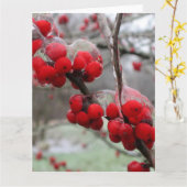 Carte Gel d'hiver et glace sur les baies rouges (Fleur jaune)