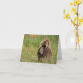 Carte Gelada babon (Fleur jaune)