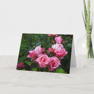 Carte Gene Boerner Rose n° 1