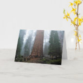 Carte Général Sherman Tree, Sequoia, CA (Fleur jaune)