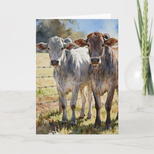 Carte Génisses Brahman à l'aquarelle (Devant)