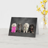 Carte Genre de pantalon… d'important (Fleur jaune)