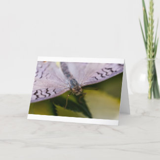 Carte Gentil de vous rencontrer