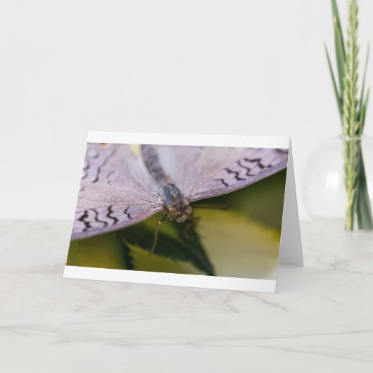 Carte Gentil de vous rencontrer (Devant)