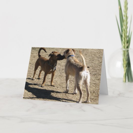 Carte Gentil de vous rencontrer ! (Devant)