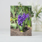 Carte Géocinthe bleu au printemps (Debout devant)