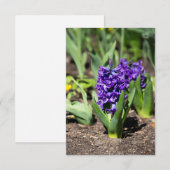 Carte Géocinthe bleu au printemps (Devant / Derrière)