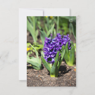 Carte Géocinthe bleu au printemps