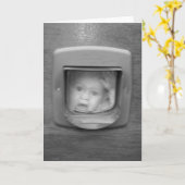 Carte géographique (Fleur jaune)