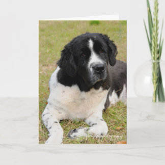 Carte George disant le bonjour