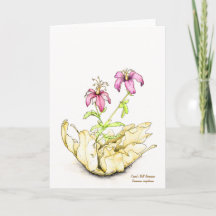 Géranium aquarelle fleur sauvage intérieur vide