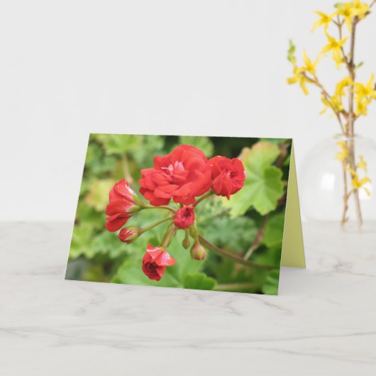 Carte Géranium card (Fleur jaune)