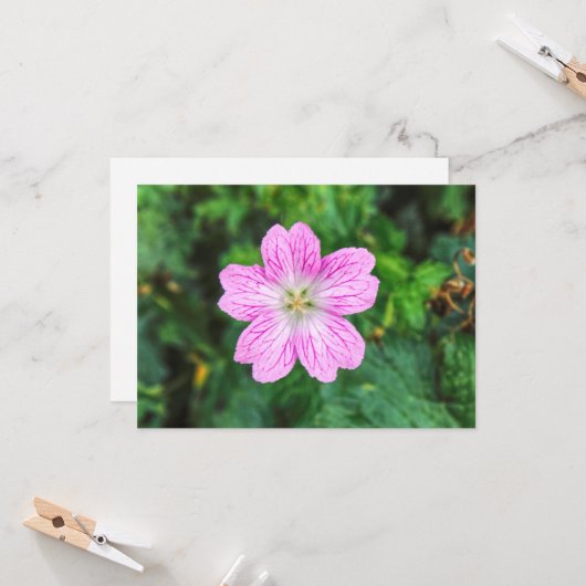 Carte Géranium rose (Devant/Arrière en situation)