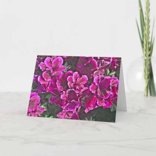 Carte Géraniums rose foncé (Devant)