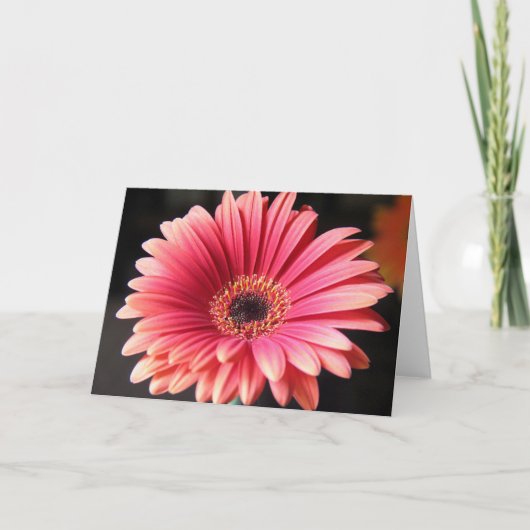 Carte Gerber rose (Devant)