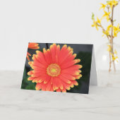 Carte Gerbera (Fleur jaune)