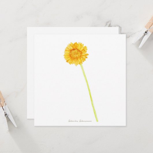 Carte Gerbera (Devant/Arrière en situation)