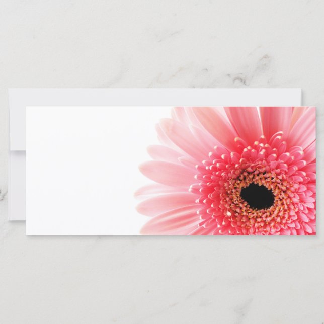 Carte Gerbera Daisy (Devant)