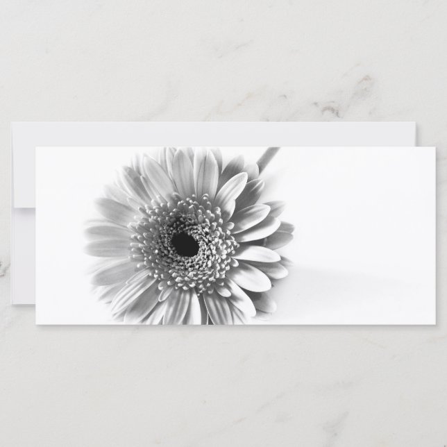 Carte Gerbera Daisy (Devant)