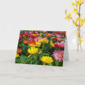 Carte Gerbera Daisy Garden Fête des Mères (Fleur jaune)