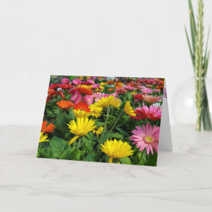 Carte Gerbera Daisy Garden Fête des Mères