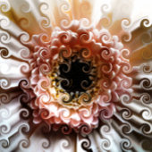 CARTE GERBERA FLOWER