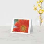 Carte Gerbera orange (Fleur jaune)