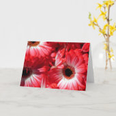 Carte Gerberas rouges (Fleur jaune)