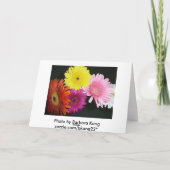 Carte Gerbiers multicolores (Dos)