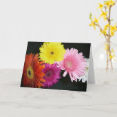 Carte Gerbiers multicolores (Fleur jaune)