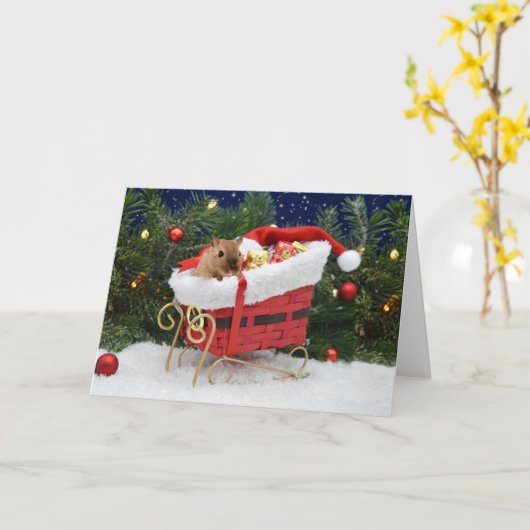 Carte Gerbil Christmas (Fleur jaune)