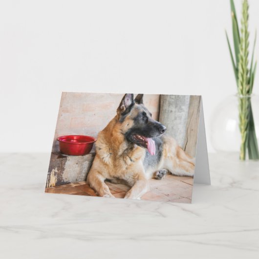 Carte German Shepherd Resting (Devant)
