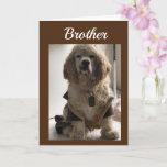 CARTE GET OUT & CELEBRATE YOUR DAY **BROTHER** CARD<br><div class="desc">THIS IS MY "16 1/2 YEAR OLD COCKER NAMED DAKOTA! HE LOVES POSING FOR MY CARDS!!!!! THANKS FOR STOPPING BY ONE OF MY EIGHT STORES!!!! REMEMBER---YOU CAN CHANGE THE 'AGE' AND THE 'VERSE' ON ALMOST ALL OF MY CARDS!!!!</div>