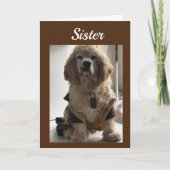 CARTE GET OUT & CELEBRATE YOUR DAY **SISTER** CARD (Devant)