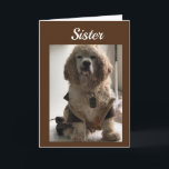 CARTE GET OUT & CELEBRATE YOUR DAY **SISTER** CARD<br><div class="desc">THIS EST MY "16 1/2 YEAR OLD COCKER NAMED DAKOTA! HE LOVES POSING FOR MY CARDS!!!!!!!! THANKS FOR STOPPING BY ONE OF MY EIGHT STORES!!!!!!! REMEMBRE—YOU CAN CHANGE THE 'AGE' AND THE 'VERSE' ON ALMOST ALL OF MY CARDS!!!!</div>