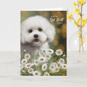 Carte Get Well Bichon Frise Dog Daisies (Fleur jaune)