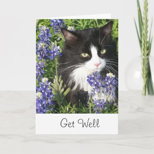 Carte Get Well Card Tuxedo Cat au Texas Bluebonnet (Devant)