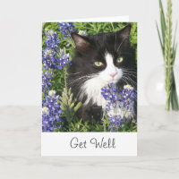 Get Well Card Tuxedo Cat au Texas Bluebonnet