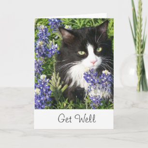 Carte Get Well Card Tuxedo Cat au Texas Bluebonnet