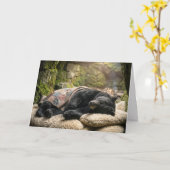 Carte Get Well Soon Black Bear Sleeping Under a Quilt (Fleur jaune)