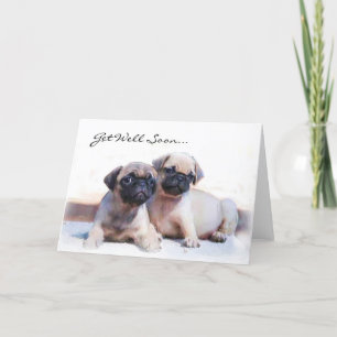 Carte Get Well Soon Pug puppies greeting card