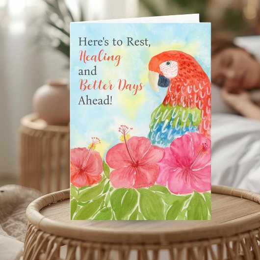 Carte Get Well Soon with Scarlet Macaws and Hibiscus
